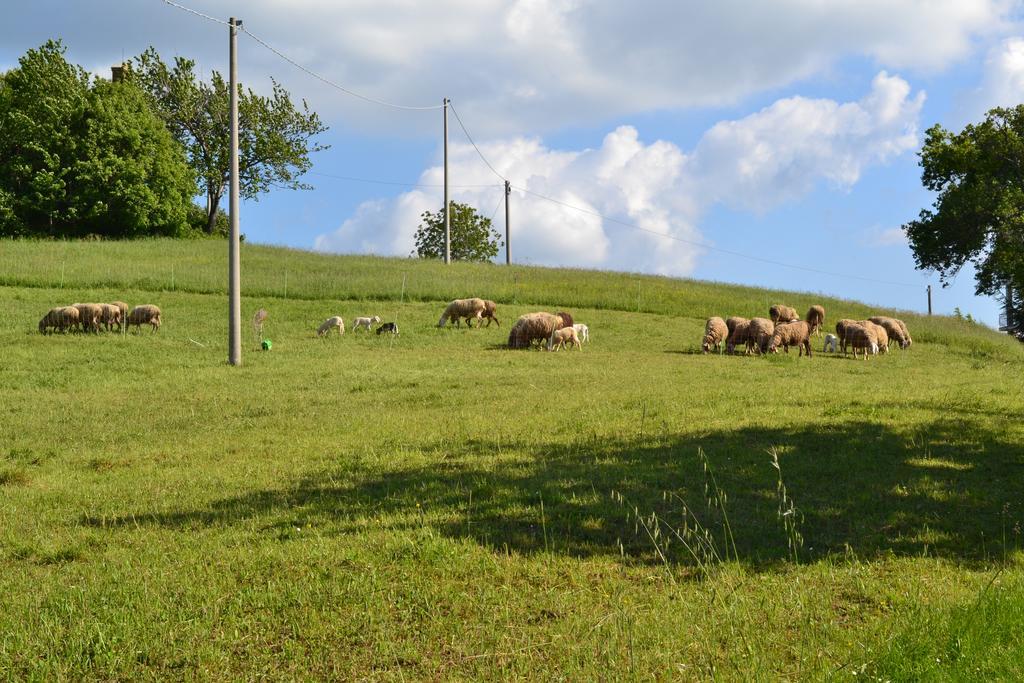 Agriturismo Montorso Monte Rinaldo Zewnętrze zdjęcie